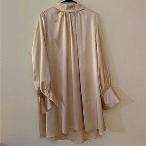 Zara Long Sleeve Dress in Beige